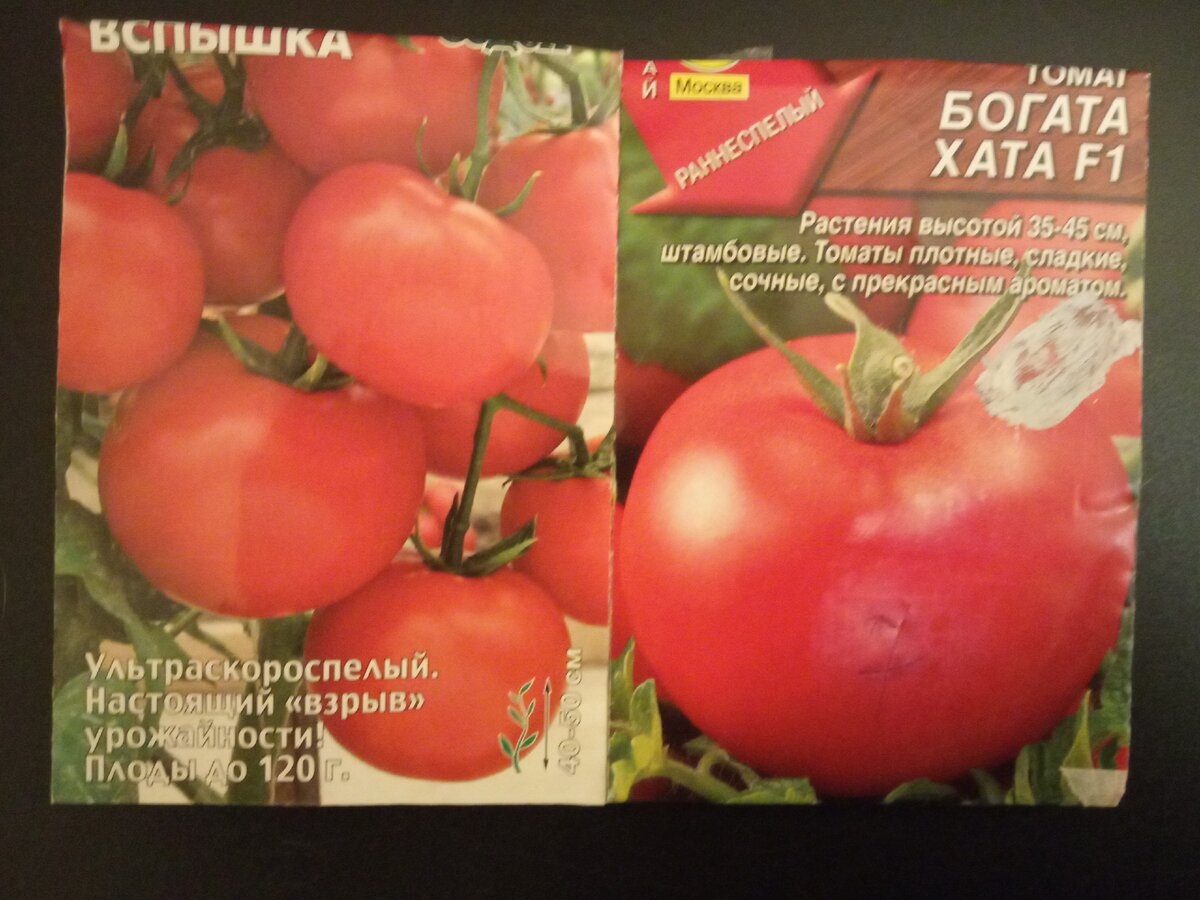 Богата хата описание. Помидоры богата хата. Толстосум томат описание сорта. Помидоры вспышка. Томат Непасынкующийся гигант.