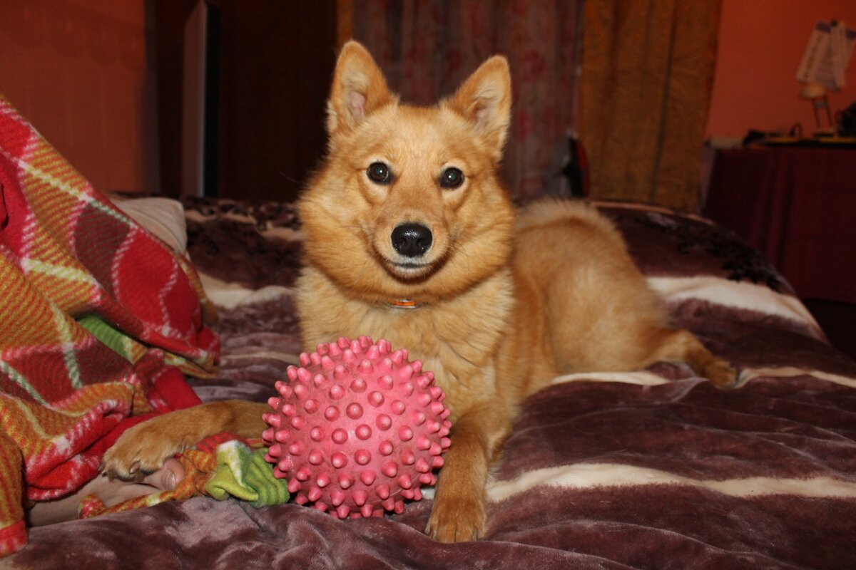 Хулиганка Тарья