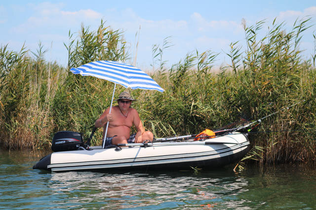 Источник Картинки Yandex.ru