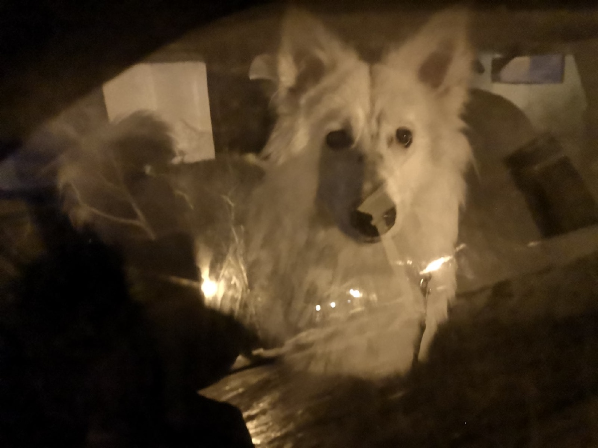 Пока мама с бабушкой у врача были, я сидела в машине. 