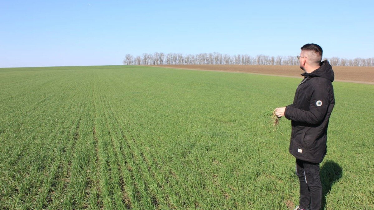 Фото:Анатолий Таракановский
Анатолий Таракановский, эксперт-фитопатолог