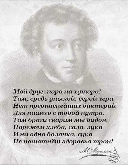 Слова Пушкина во время пандемии холеры в 1830году.