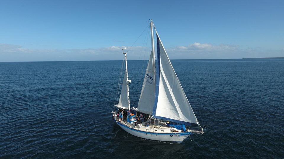 Фото Максима Озерного из группы https://www.facebook.com/groups/antarctida2020/