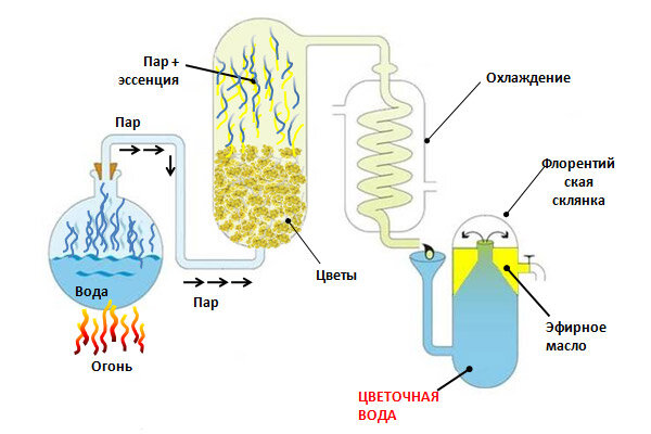 схема получения гидролата