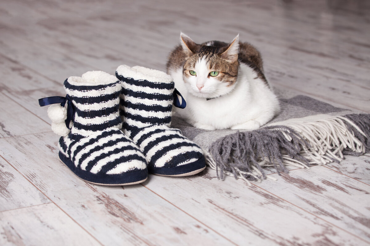  Качественный водостойкий ламинат высокого класса способен выдерживать серьезные испытания даже  на кухне и в прихожей.