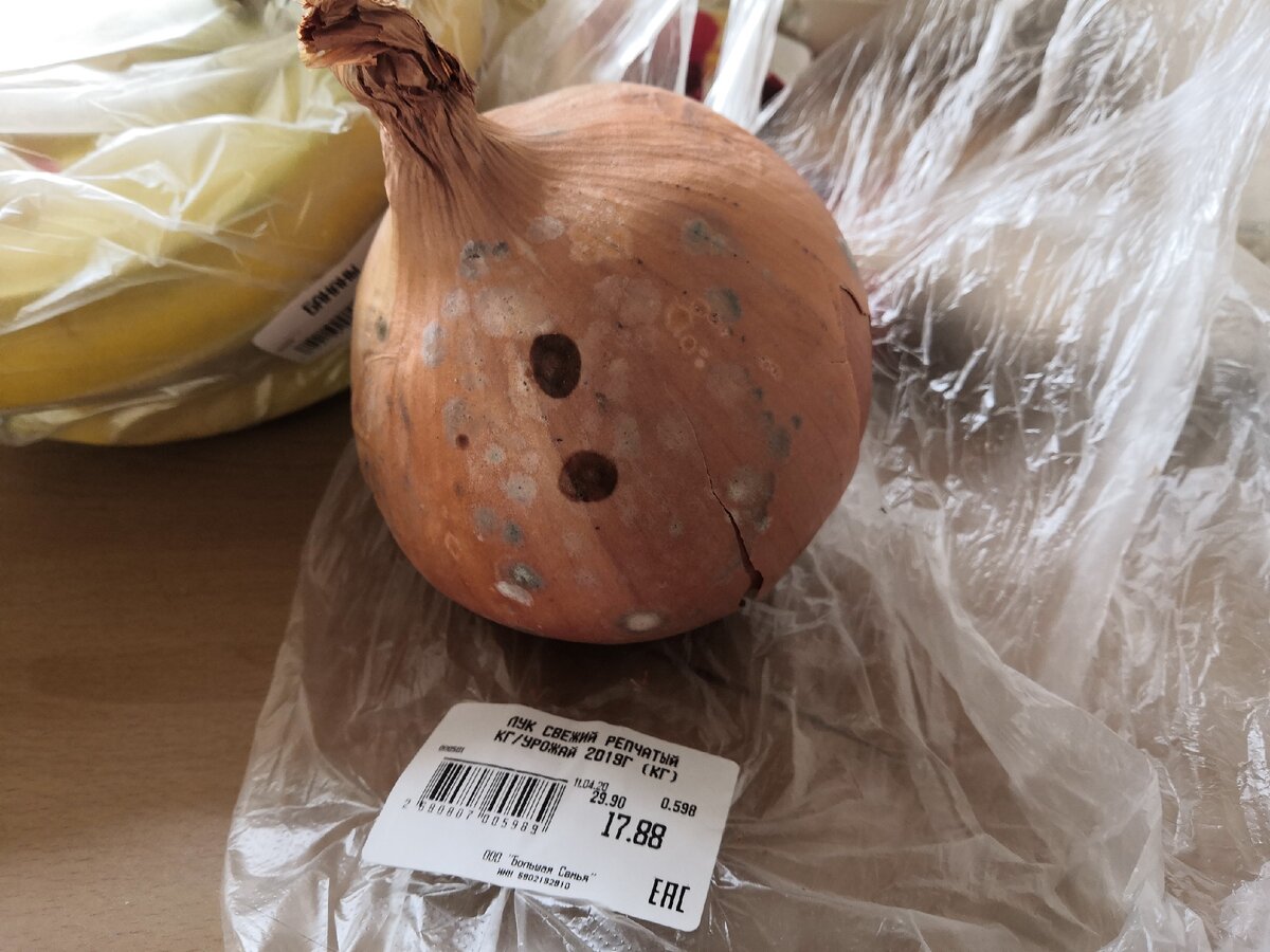 "свежий" репчатый лук