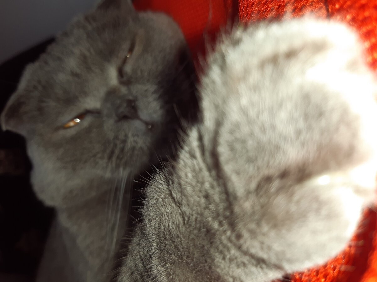 Мой 