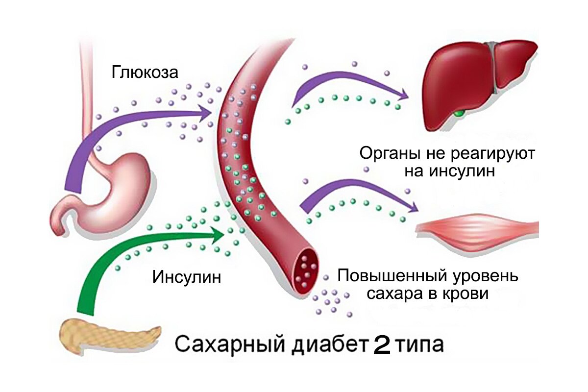 Оглавление