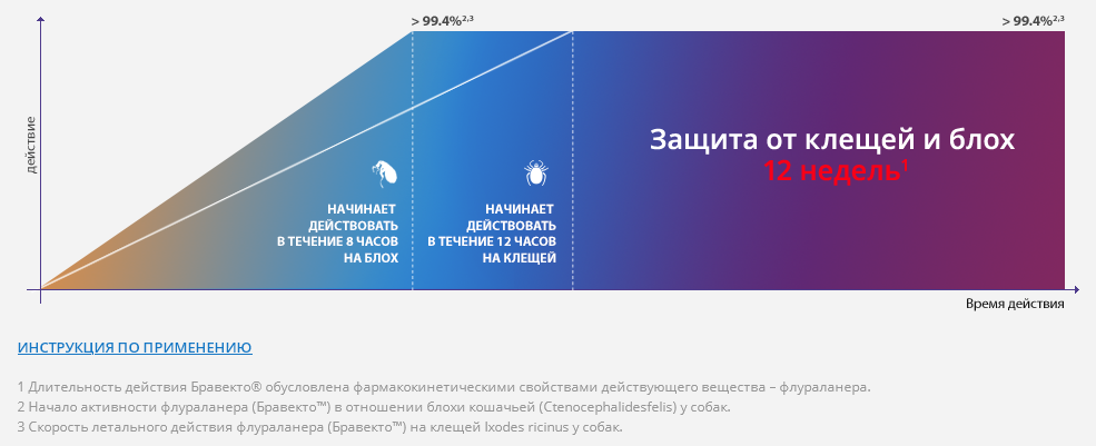 Изображение с сайта bravecto.ru