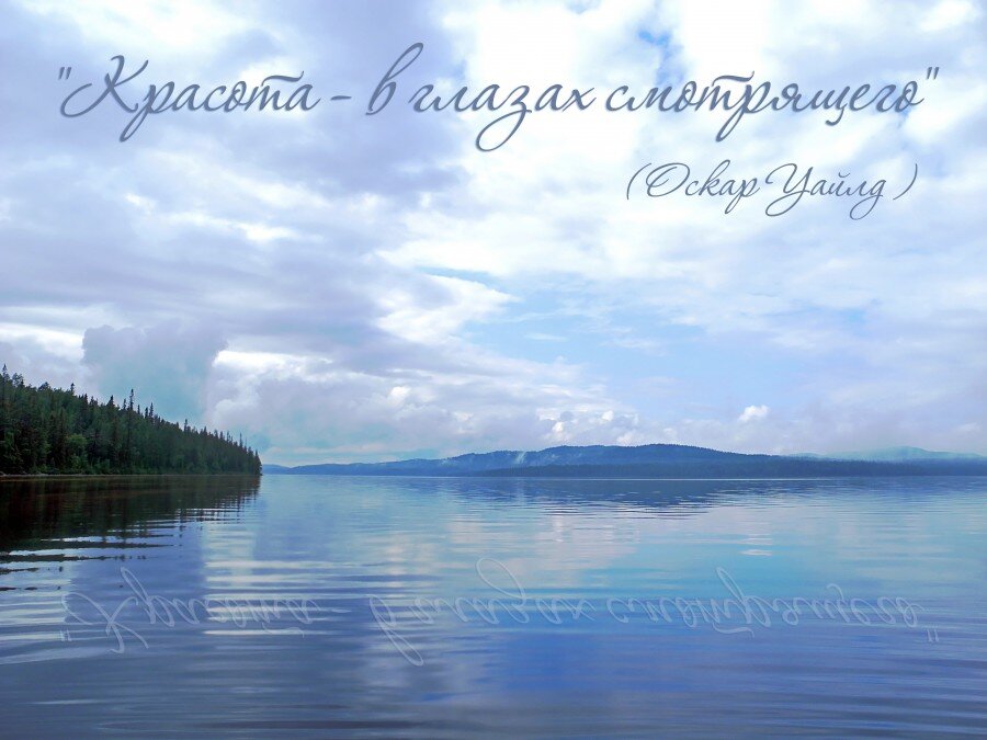 Из открытых источников и цитат.