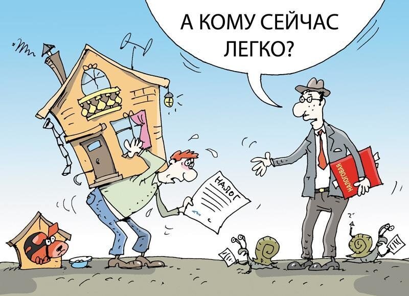 картинка из открытых источников