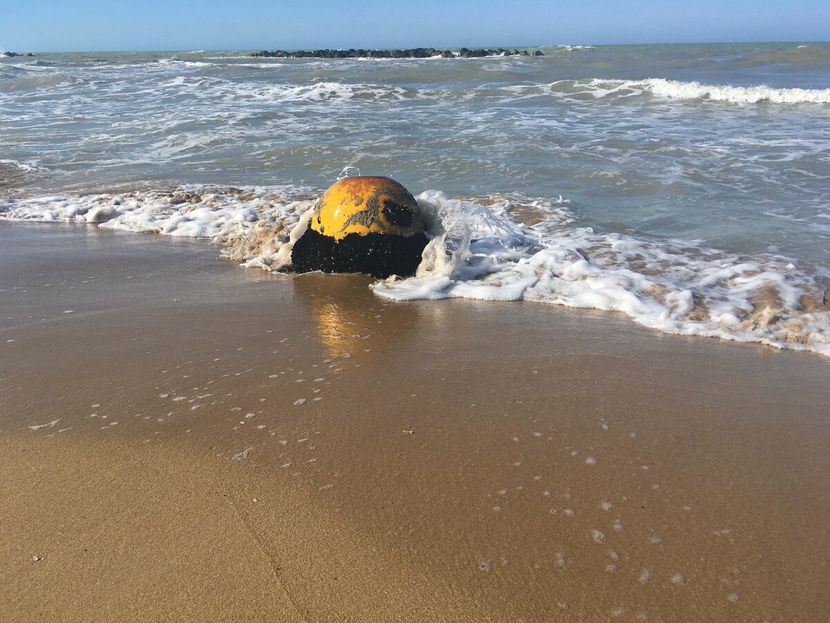 Фото: Piano Piano (в Италии в крайнем случае можно поесть вот таких мидий)))