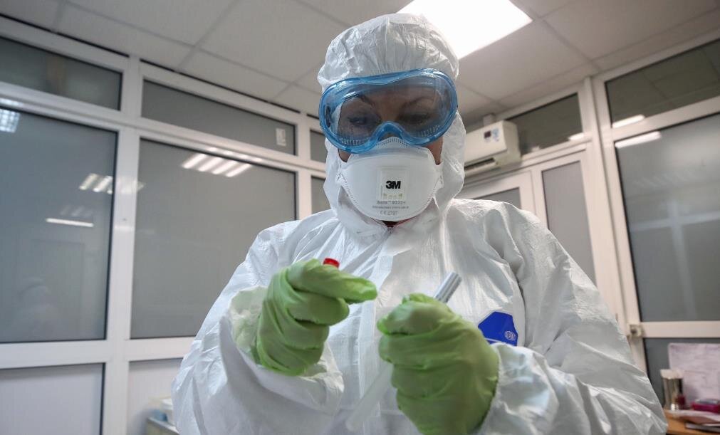 Фото — yandex.net