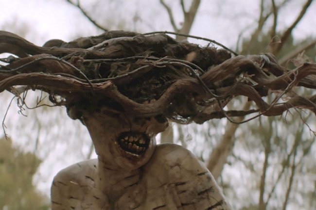 Кадр из фильма "Береза"