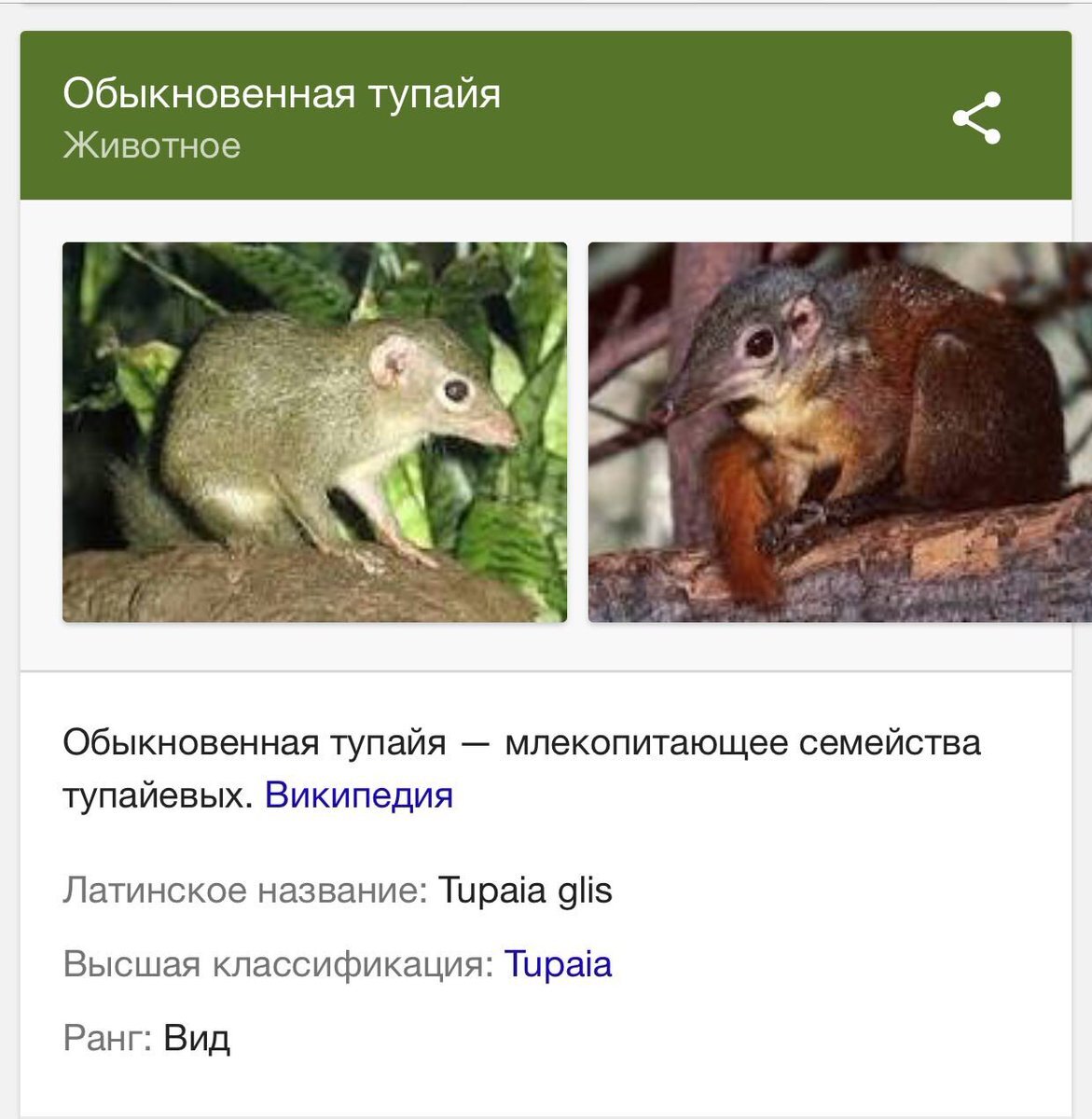 С просторов интернета