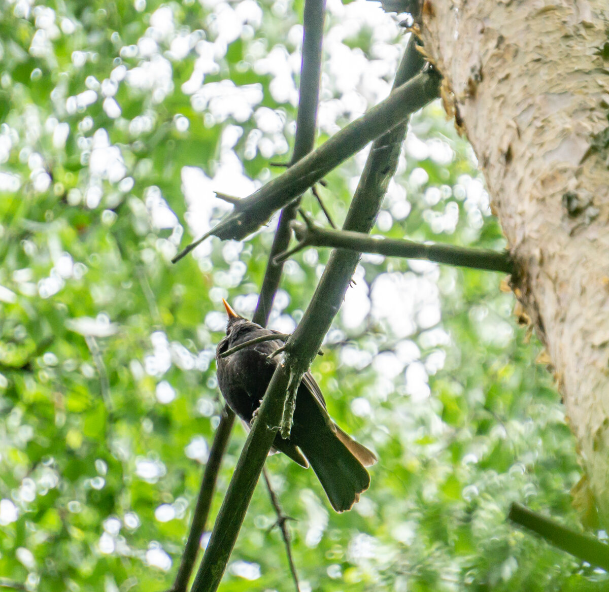 авторское фото