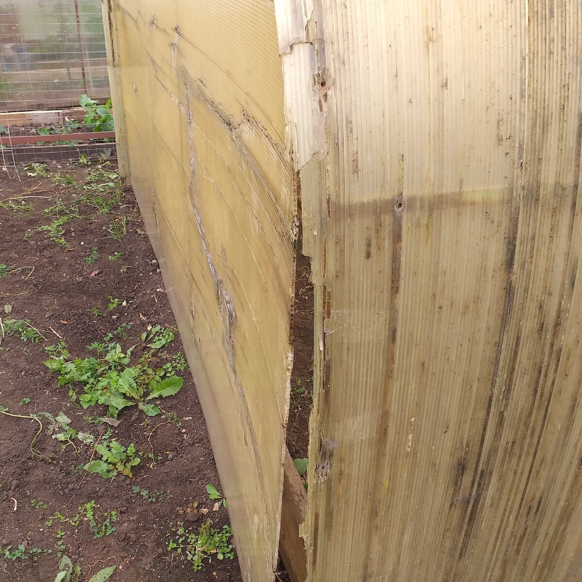 Так выглядела старая теплица.