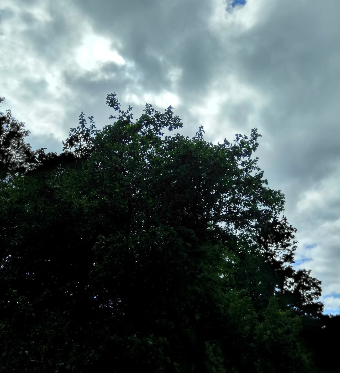 Вид под стать настроению. Фото автора