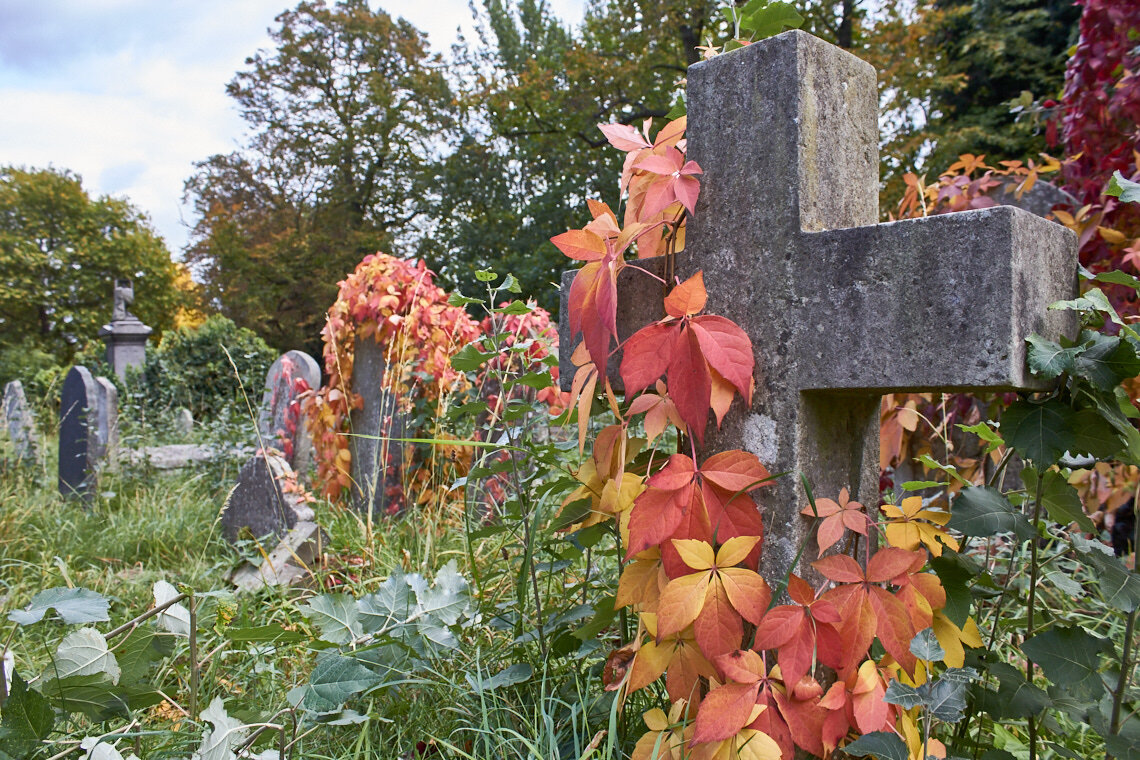 Кенсал Грин осенью - фотография из открытых источников