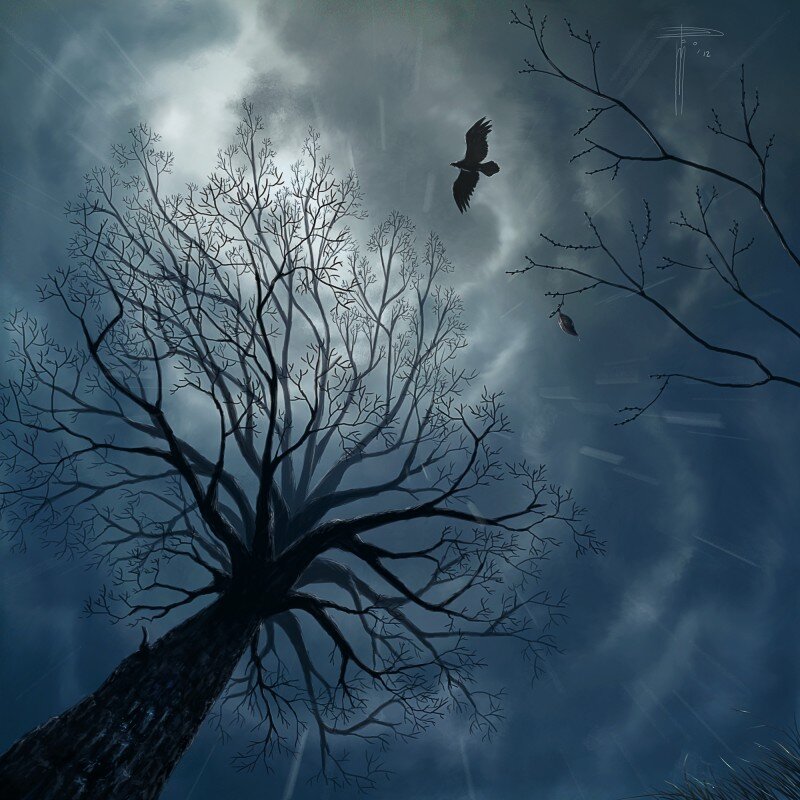 Яндекс фото