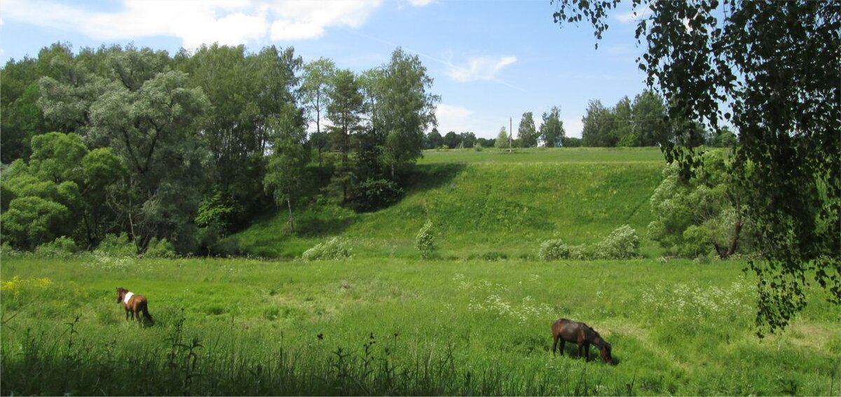 Выпас лошадй. Фото автора