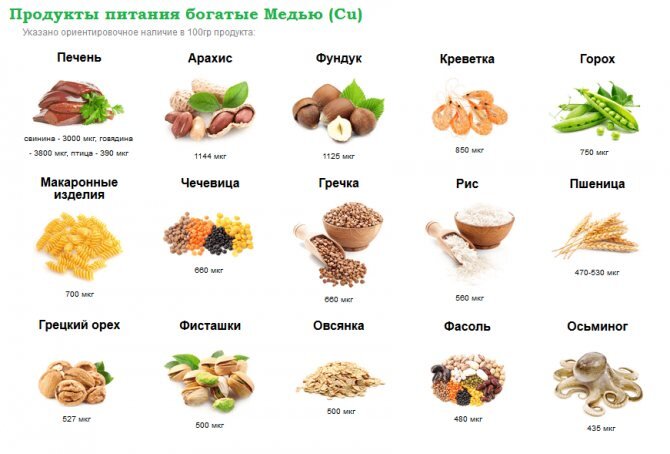 Продукты, богатые медью. Источник изображения: Яндекс.Картинки