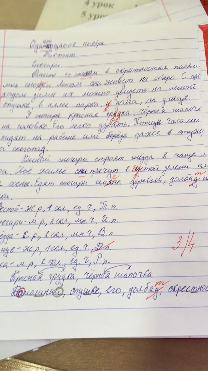 Написала: "Молодец! Старалась!"