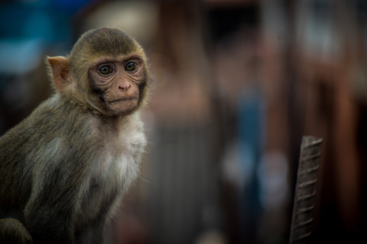 Фотография взята из открытых источников Яндекса