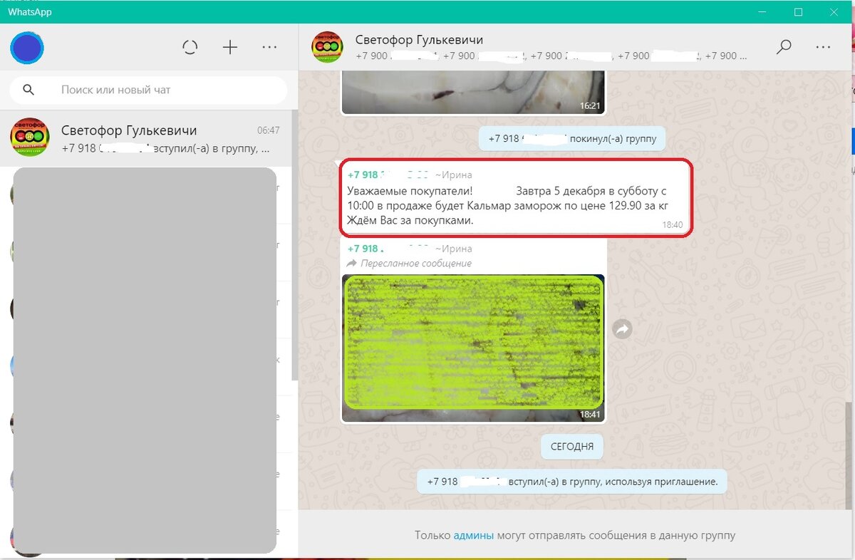 Фото кальмара замороженного затушевала