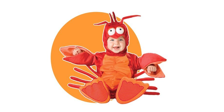 от 1 262 рублей