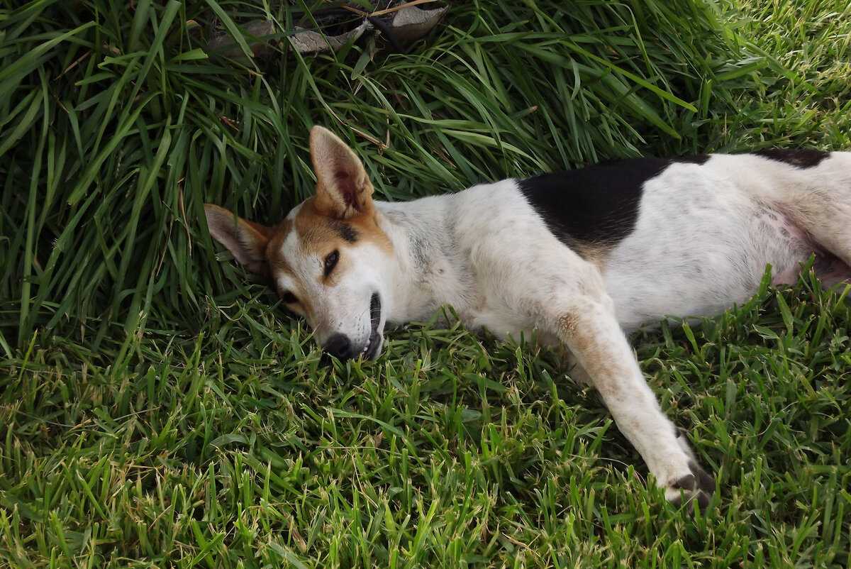 Все мечтаю о беззаботном отдыхе