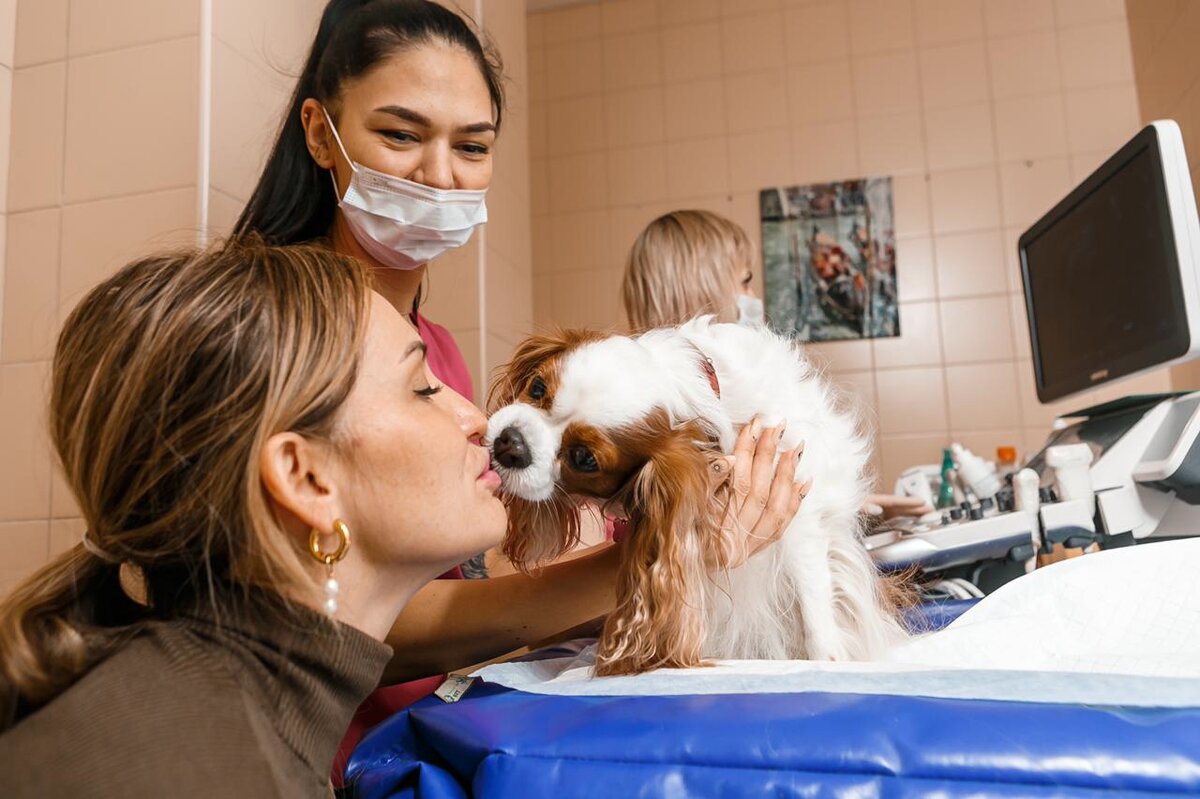 Леонова Анастасия Вадимовна