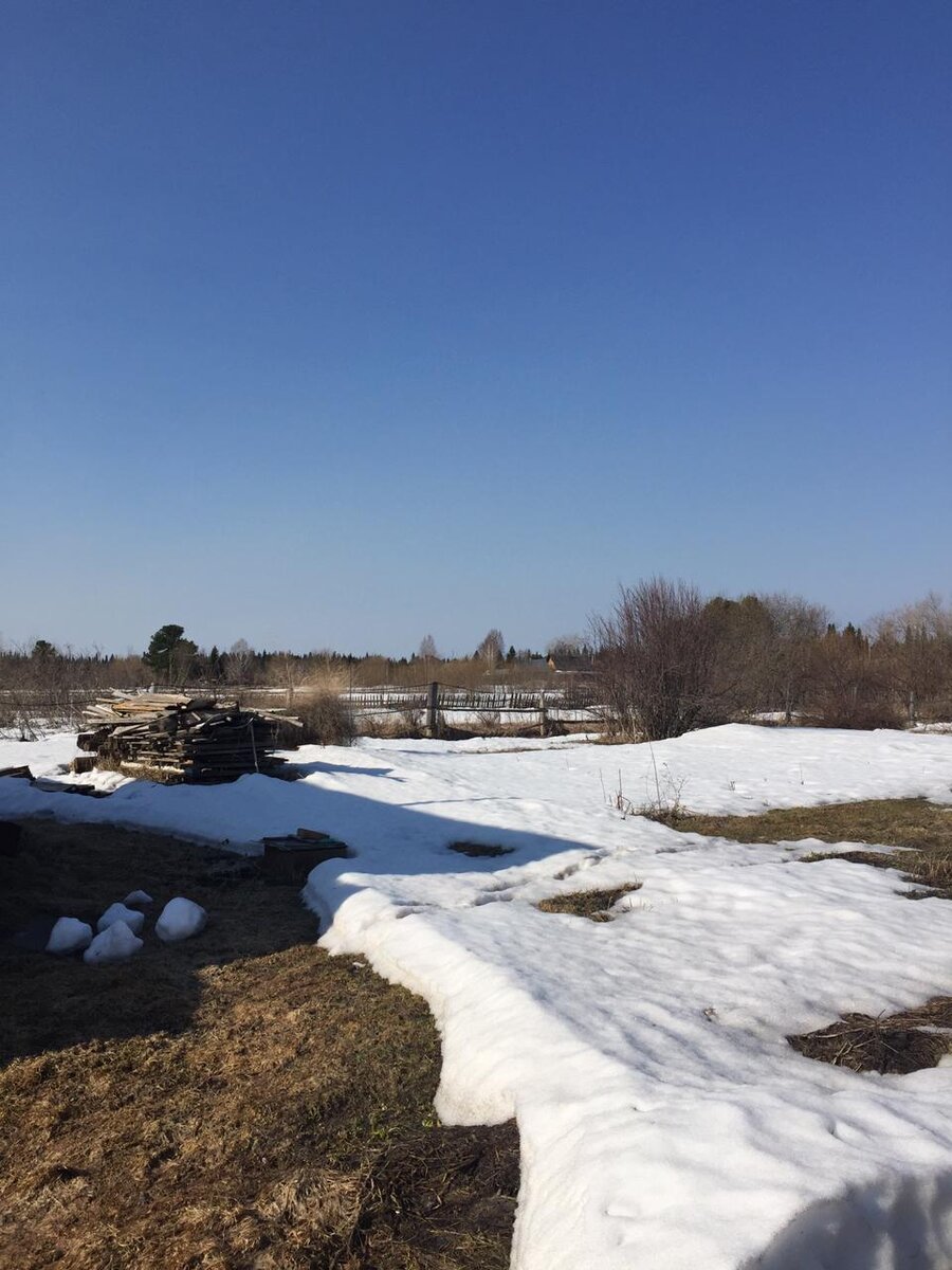 Снег понемногу тает. 