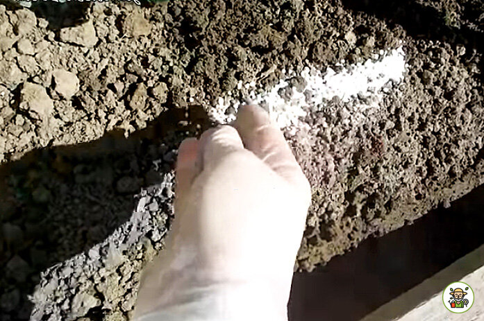 Рассыпаем по периметру грядки суперфосфат