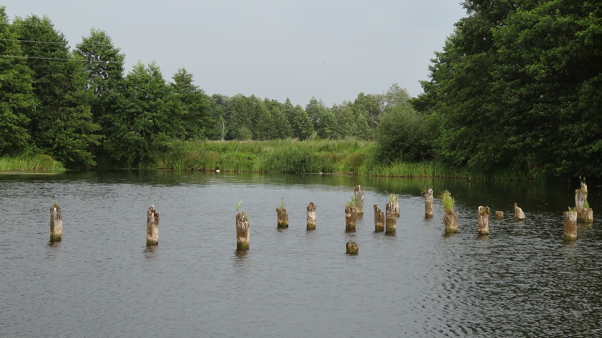 Купаться мы не стали, но проверили: водичка ещё тёплая, по крайней мере, у берега
