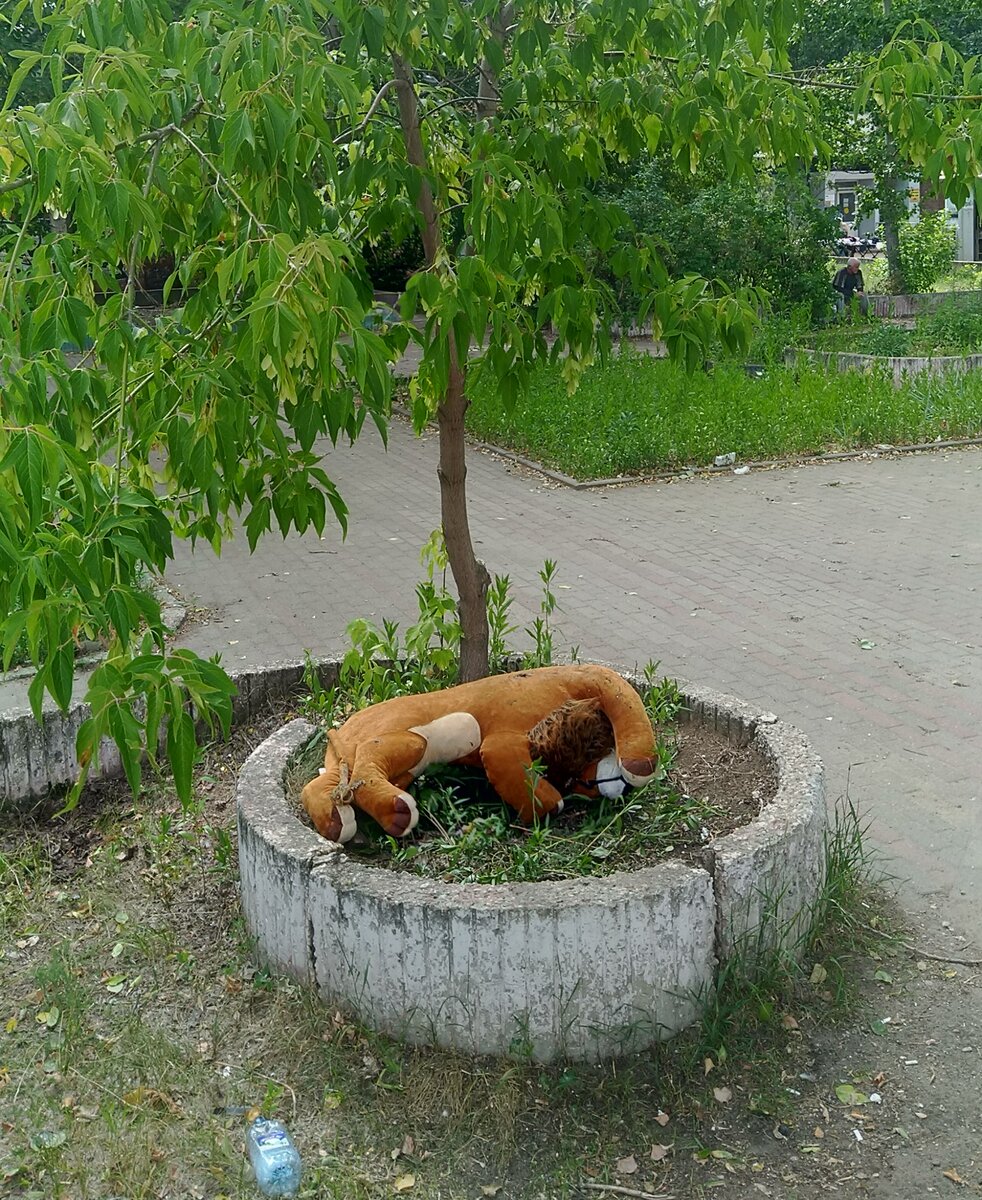 Приколы нашего городка: пьяная лавочка, спящие красавцы, похищение людей  инопланетянами и т.д.Нижний Новгород - 800 лет приколов | Нижегородские  зарисовки | Дзен