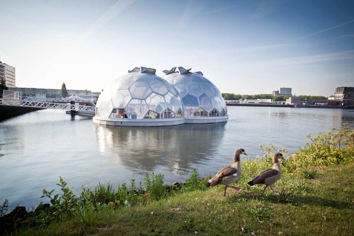 Floating Pavilion в Роттердаме