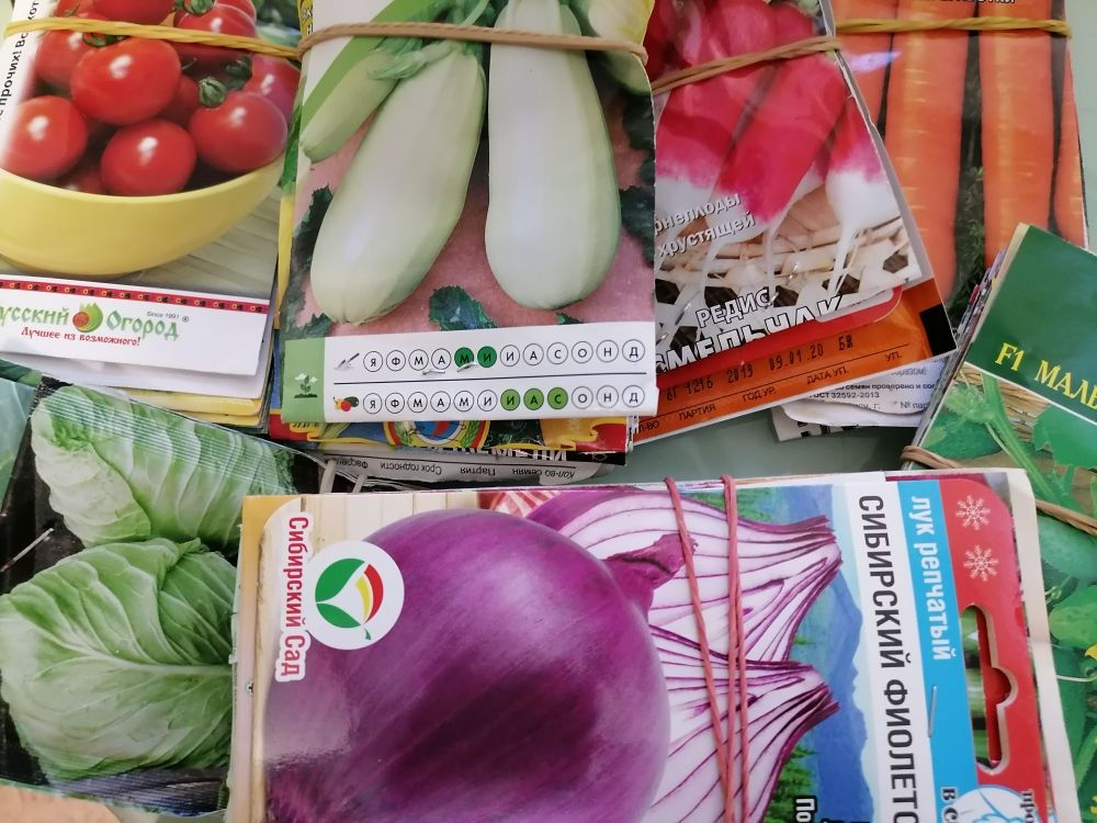 Семена овощей, которые сажаю каждый год, фото автора