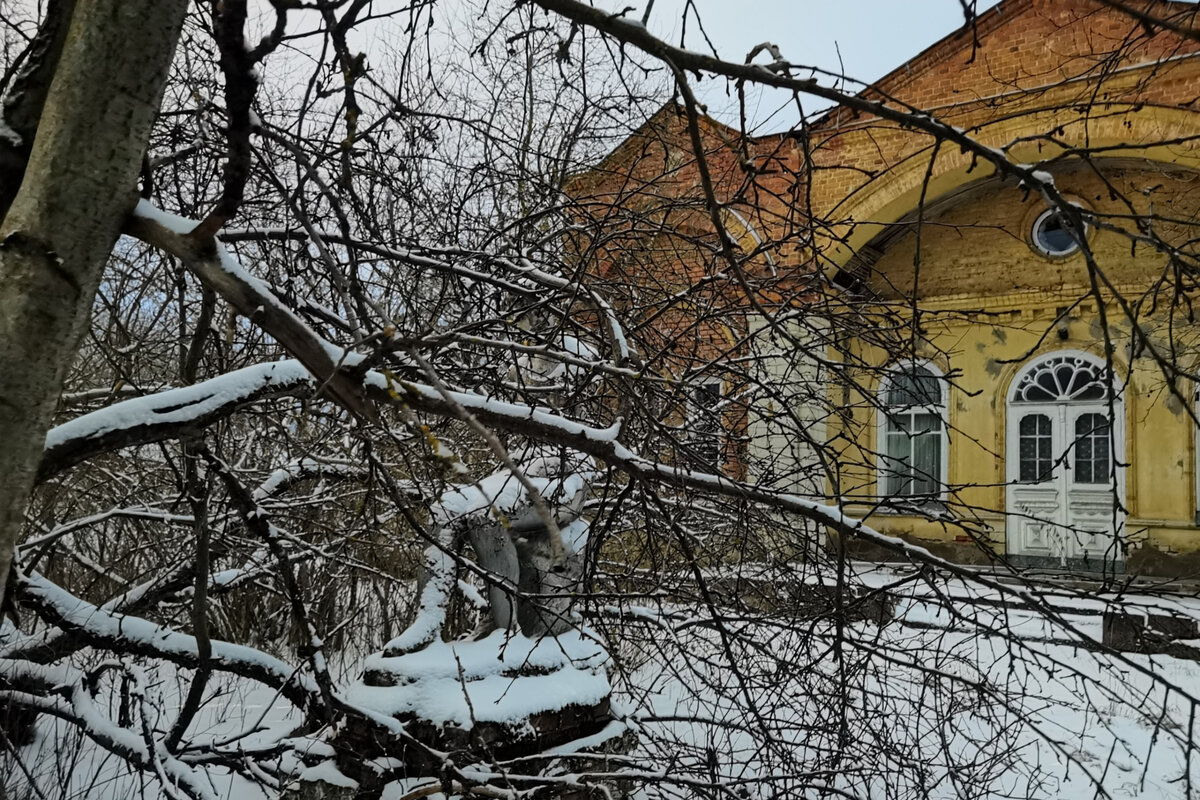 Углубился в заросли и нашёл там скульптуру, а также сделал фото  