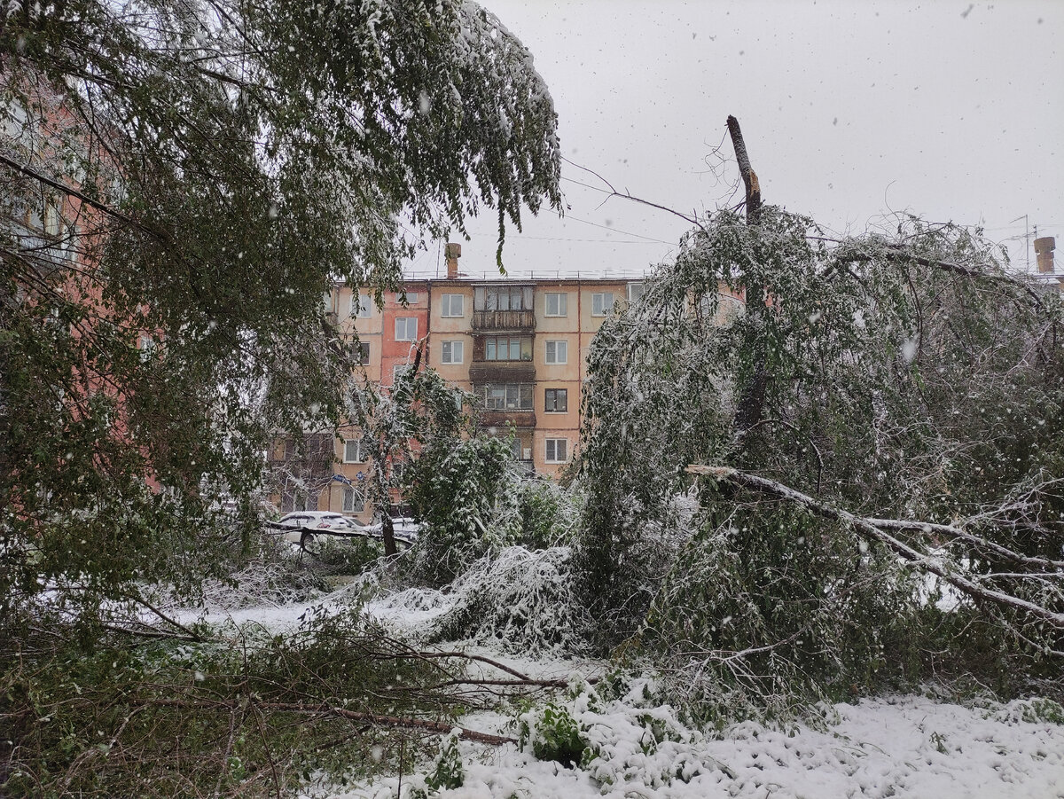 Атипичный сентябрь