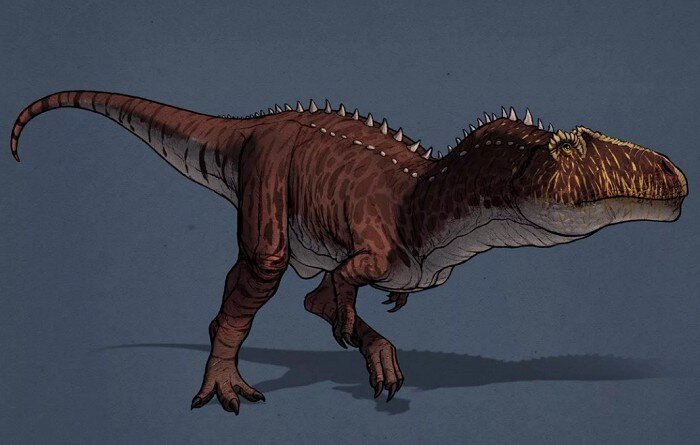 Это кстати гиганотозавр =)