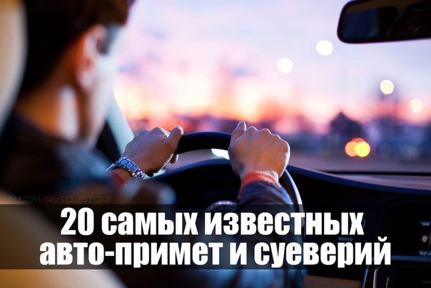 Что означает сбить собаку на дороге. Четыре приметы о собаках | Мир домашних животных | Дзен