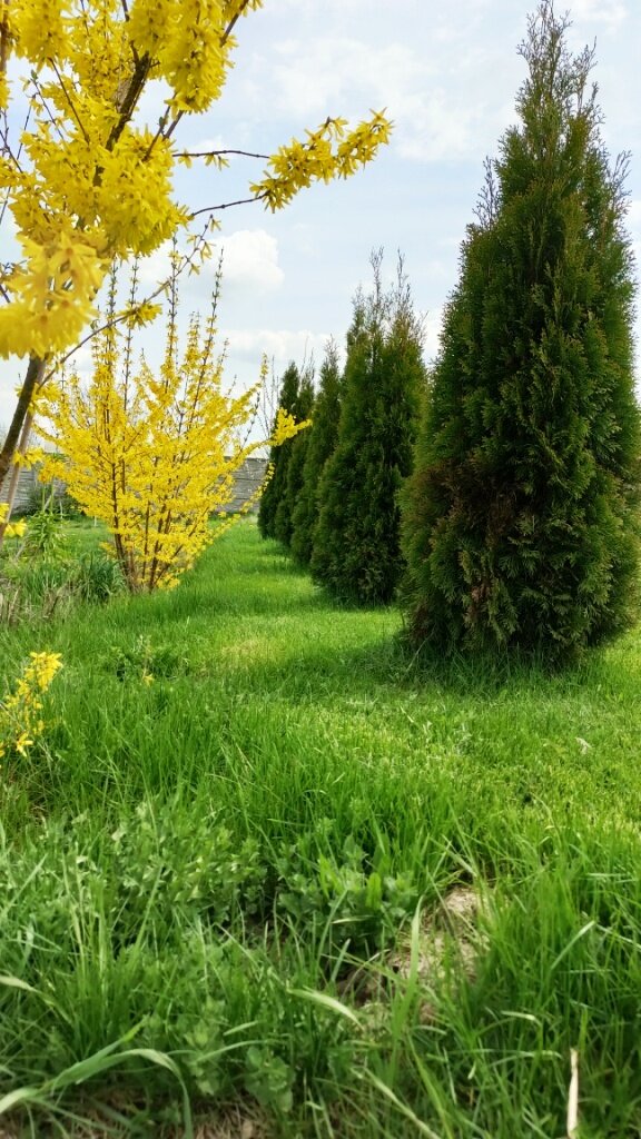 фото автора Алёна Р