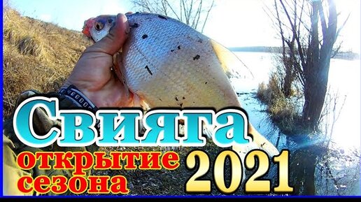 Рыбалка. Открытие летнего сезона 2021 г. Река Свияга. Фидер и поплавок.