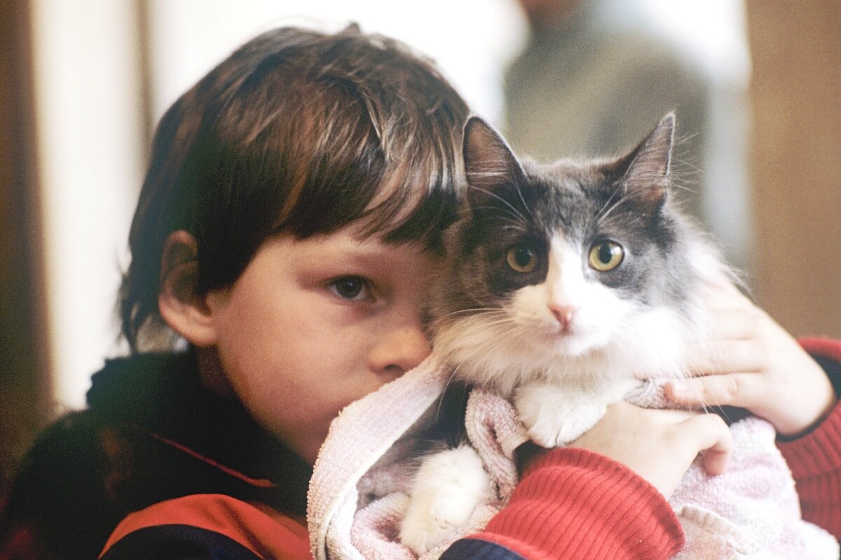 Фото: Олег Ласточкин/РИА Новости