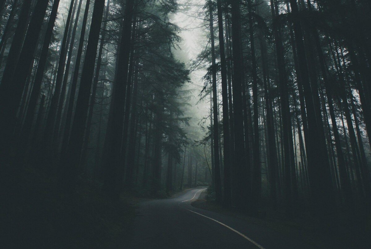 Яндекс.Картинки