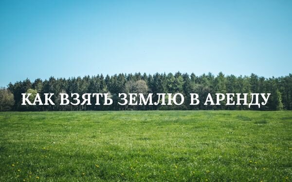 Земля у государства без торгов. Взять землю в аренду. Взять землю в аренду у государства. Как взять землю в аренду. Как взять в аренду земельный участок.