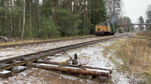 Тепловозы ТУ6А-2172 и ТУ4-3076 на узкоколейке Пищальского торфопредприятия