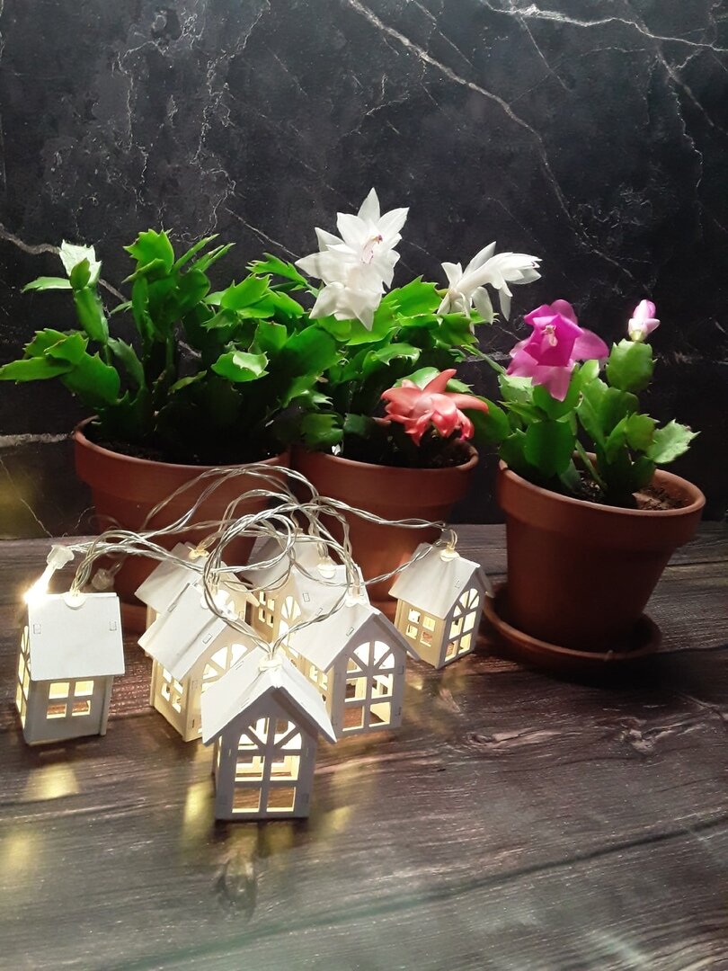 Свет в окошке - символ уюта и тепла