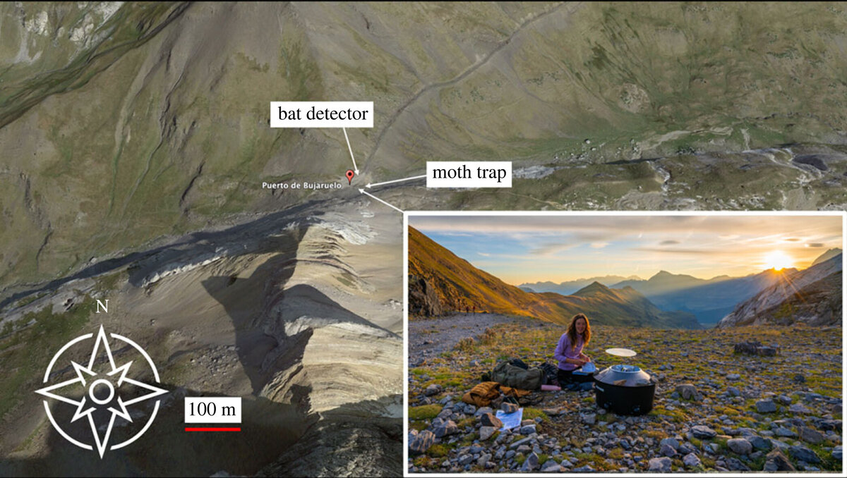   Karl R. Wotton et al. / Royal Society Open Science, 2023